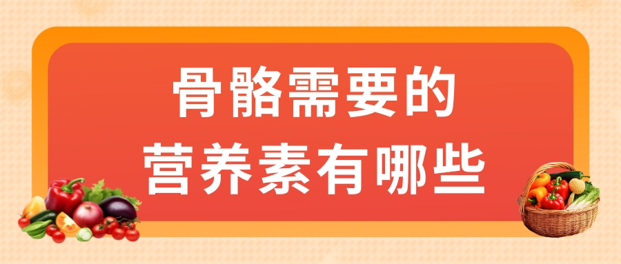 骨骼需要的營養(yǎng)素有哪些？